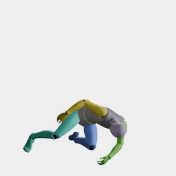 Dodge Roll Right animation preset preview